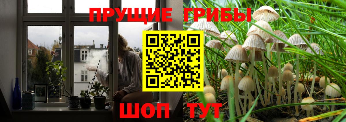 Чусовой  Галлюциногенные грибы Cubensis  цена наркотик  Вход с VPN  Галлюциногенные грибы мицелий 